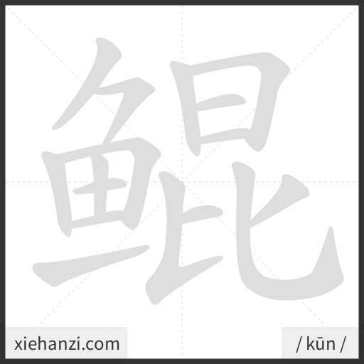 Ảnh động thứ tự nét chữ 鲲 - cách viết từng nét