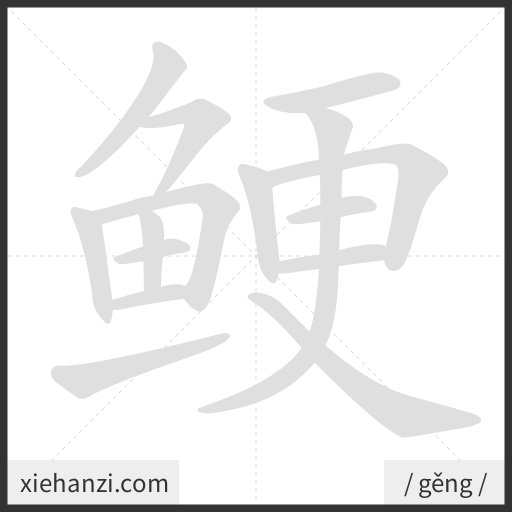 Ảnh động thứ tự nét chữ 鲠 - cách viết từng nét