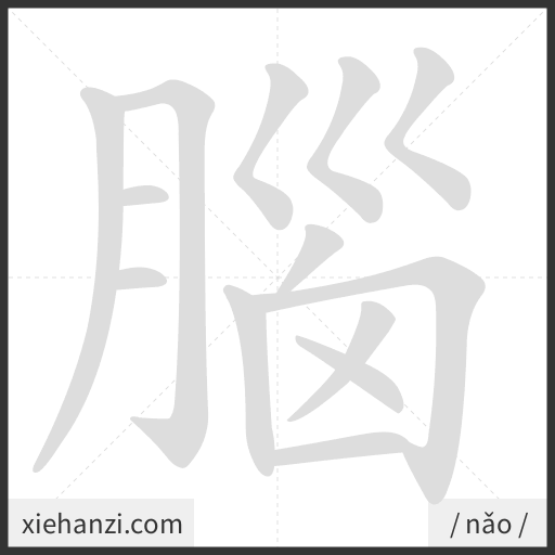 Ảnh động thứ tự nét chữ 腦 - cách viết từng nét