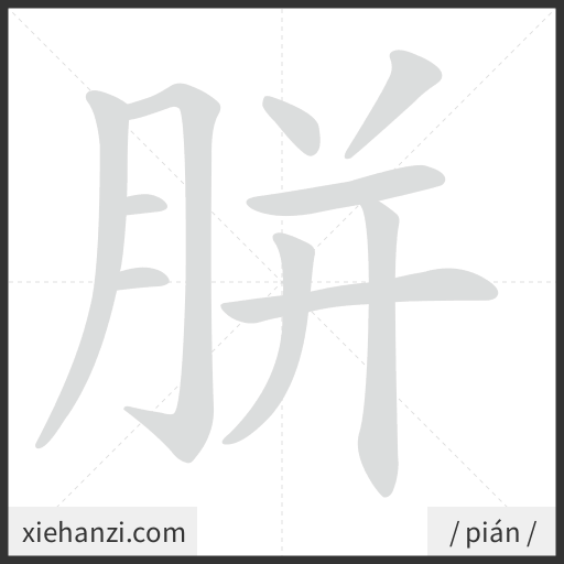 Ảnh động thứ tự nét chữ 胼 - cách viết từng nét