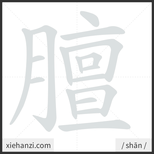 Ảnh động thứ tự nét chữ 膻 - cách viết từng nét