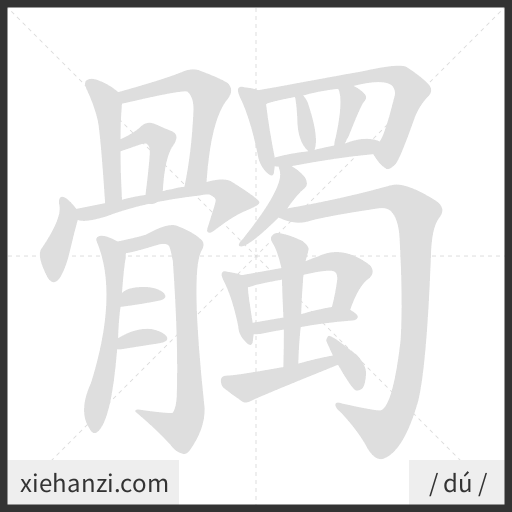 Ảnh động thứ tự nét chữ 髑 - cách viết từng nét