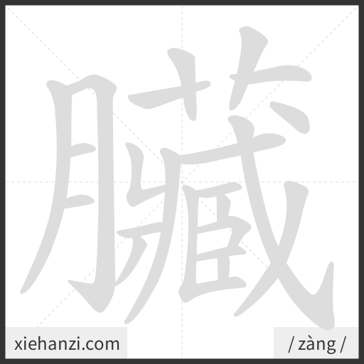 Ảnh động thứ tự nét chữ 臟 - cách viết từng nét