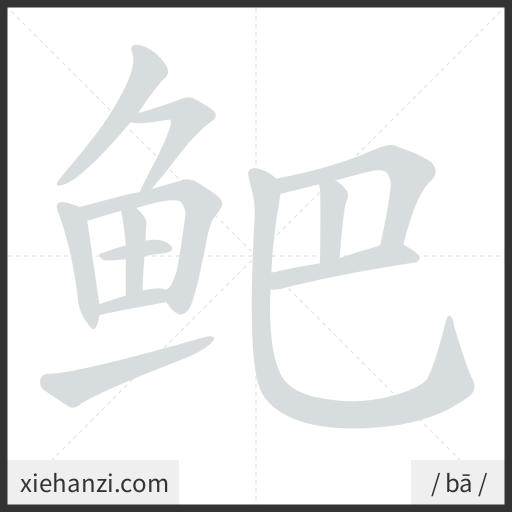 Ảnh động thứ tự nét chữ 鲃 - cách viết từng nét