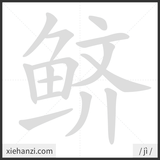 Ảnh động thứ tự nét chữ 鲚 - cách viết từng nét