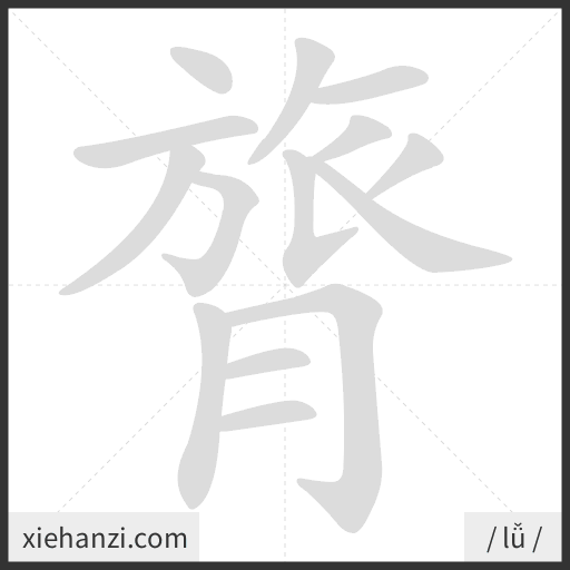 Ảnh động thứ tự nét chữ 膂 - cách viết từng nét