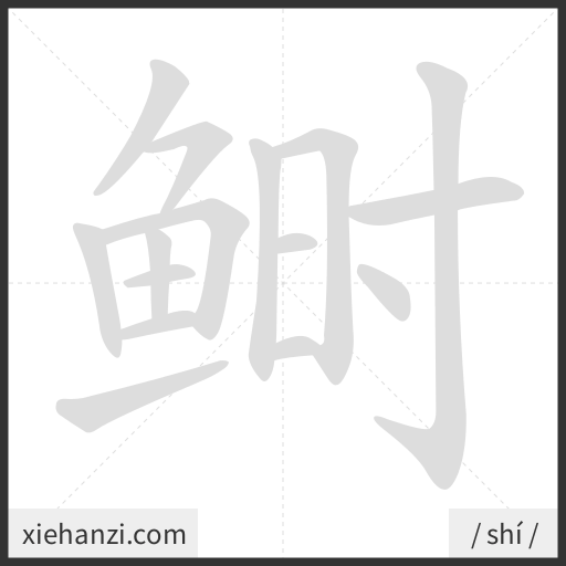 Ảnh động thứ tự nét chữ 鲥 - cách viết từng nét