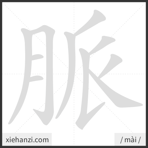 Ảnh động thứ tự nét chữ 脈 - cách viết từng nét