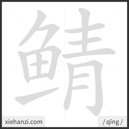 Ảnh động thứ tự nét chữ 鲭 - cách viết từng nét