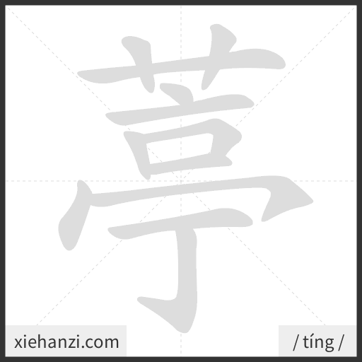 Ảnh động thứ tự nét chữ 葶 - cách viết từng nét