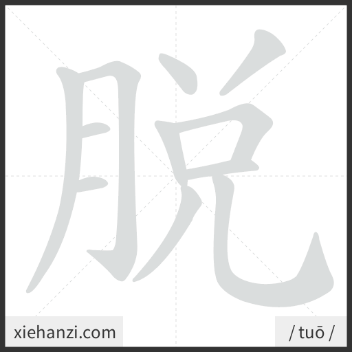 Ảnh động thứ tự nét chữ 脫 - cách viết từng nét