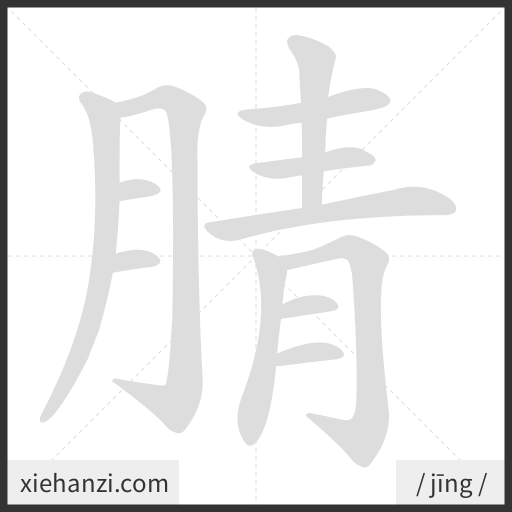 Ảnh động thứ tự nét chữ 腈 - cách viết từng nét