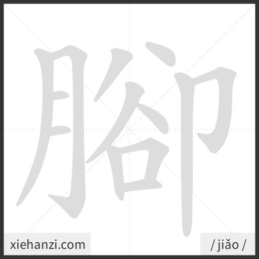 Ảnh động thứ tự nét chữ 腳 - cách viết từng nét