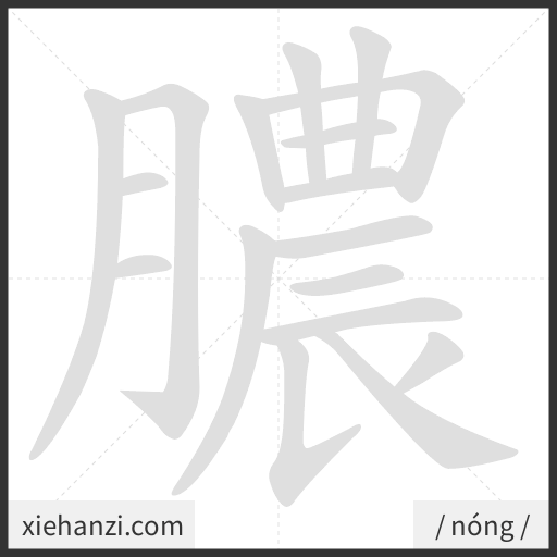 Ảnh động thứ tự nét chữ 膿 - cách viết từng nét