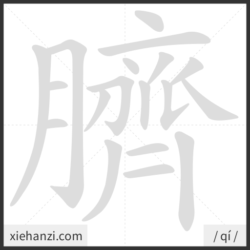 Ảnh động thứ tự nét chữ 臍 - cách viết từng nét