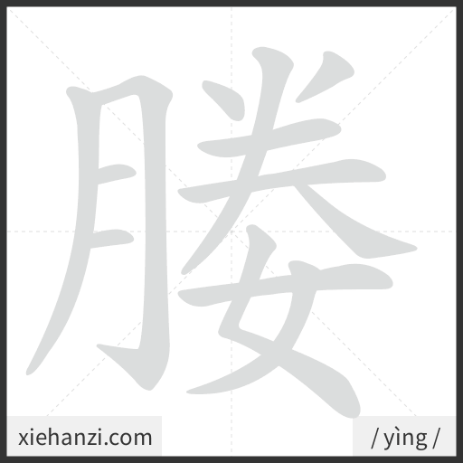 Ảnh động thứ tự nét chữ 媵 - cách viết từng nét