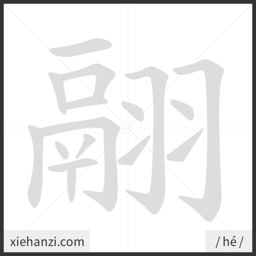Ảnh động thứ tự nét chữ 翮 - cách viết từng nét