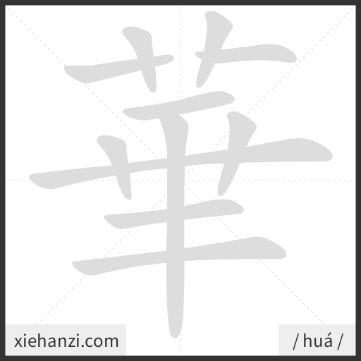 Ảnh động thứ tự nét chữ 華 - cách viết từng nét
