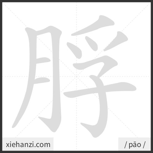 Ảnh động thứ tự nét chữ 脬 - cách viết từng nét
