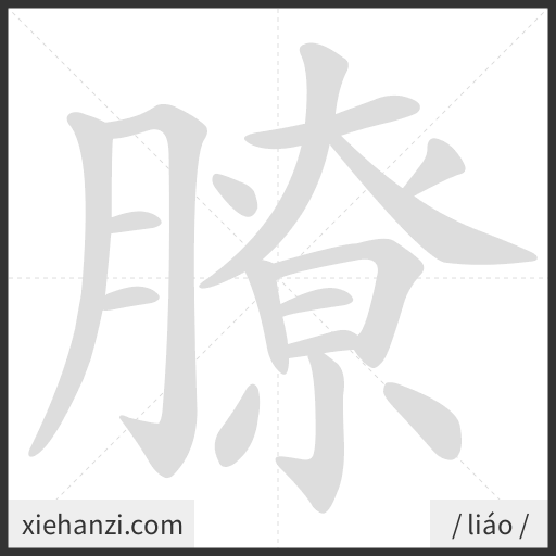 Ảnh động thứ tự nét chữ 膫 - cách viết từng nét