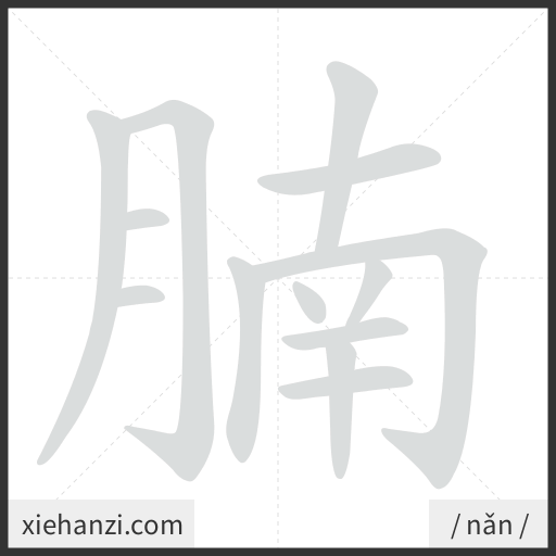 Ảnh động thứ tự nét chữ 腩 - cách viết từng nét