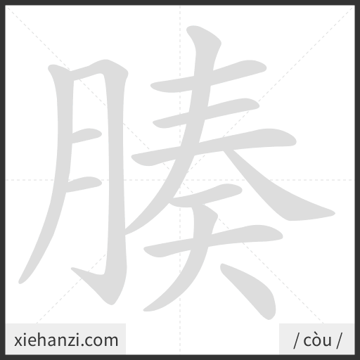Ảnh động thứ tự nét chữ 腠 - cách viết từng nét