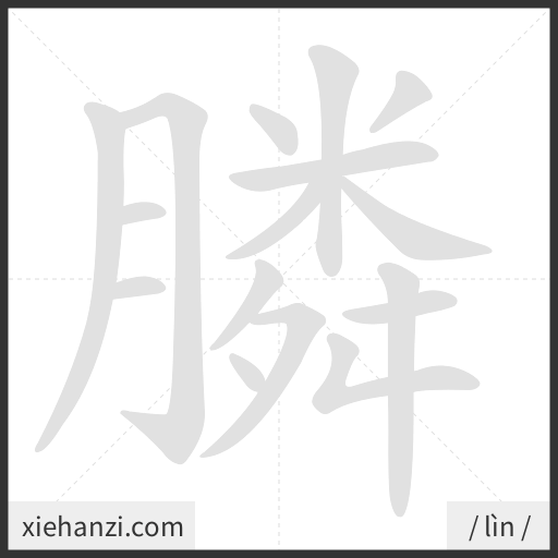 Ảnh động thứ tự nét chữ 膦 - cách viết từng nét
