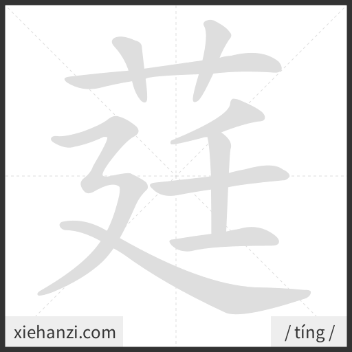 Ảnh động thứ tự nét chữ 莛 - cách viết từng nét