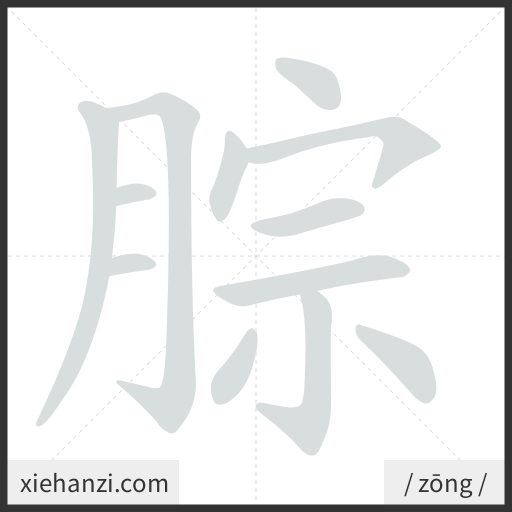 Ảnh động thứ tự nét chữ 腙 - cách viết từng nét