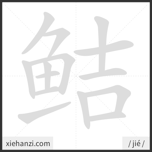 Ảnh động thứ tự nét chữ 鲒 - cách viết từng nét