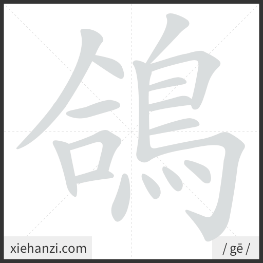 Ảnh động thứ tự nét chữ 鴿 - cách viết từng nét