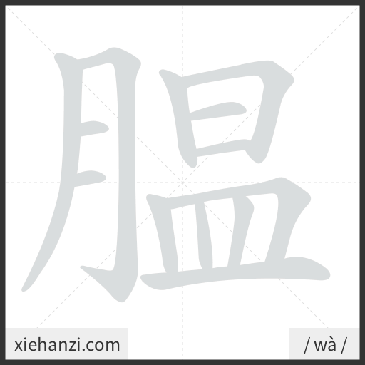 Ảnh động thứ tự nét chữ 腽 - cách viết từng nét
