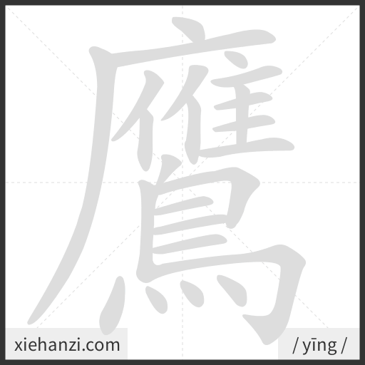 Ảnh động thứ tự nét chữ 鷹 - cách viết từng nét