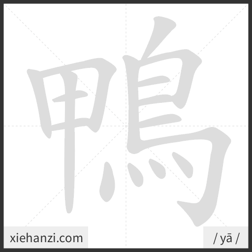 Ảnh động thứ tự nét chữ 鴨 - cách viết từng nét