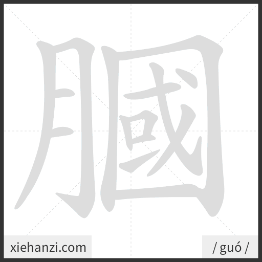 Ảnh động thứ tự nét chữ 膕 - cách viết từng nét