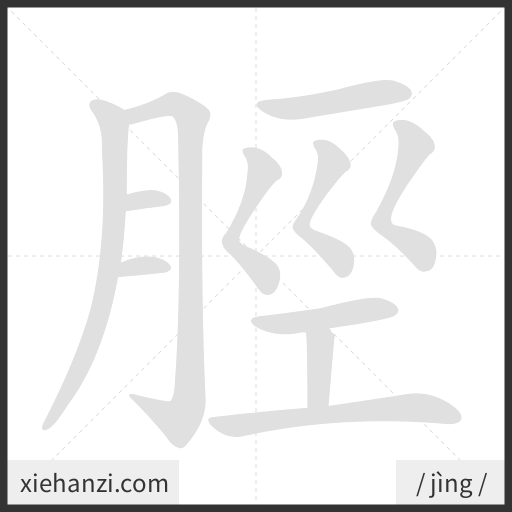 Ảnh động thứ tự nét chữ 脛 - cách viết từng nét