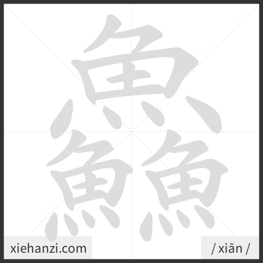 Ảnh động thứ tự nét chữ 鱻 - cách viết từng nét