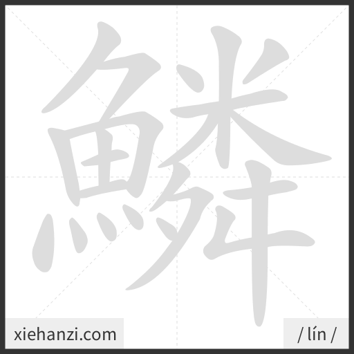 Ảnh động thứ tự nét chữ 鱗 - cách viết từng nét