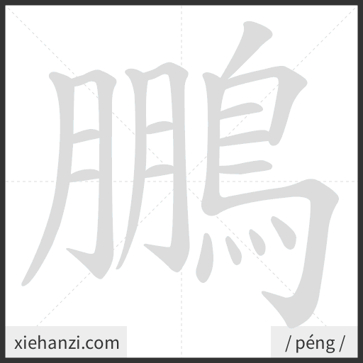 Ảnh động thứ tự nét chữ 鵬 - cách viết từng nét