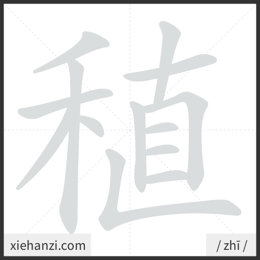 Ảnh động thứ tự nét chữ 稙 — cách viết từng nét