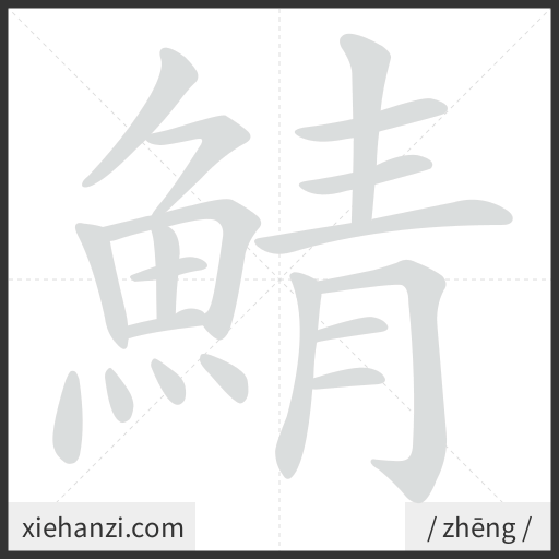 Ảnh động thứ tự nét chữ 鯖 - cách viết từng nét
