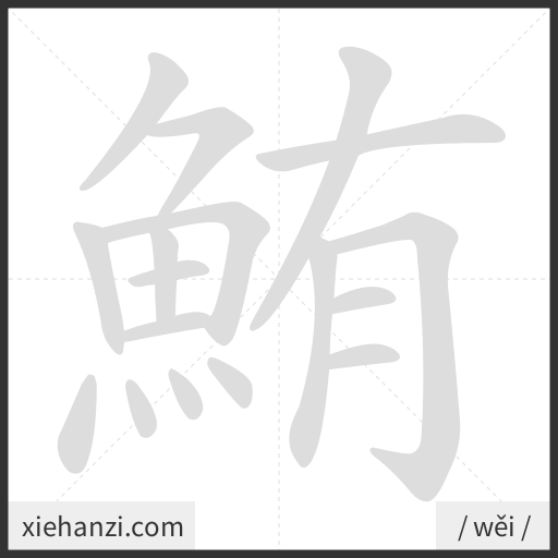 Ảnh động thứ tự nét chữ 鮪 - cách viết từng nét