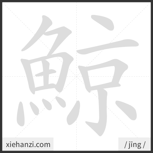 Ảnh động thứ tự nét chữ 鯨 - cách viết từng nét