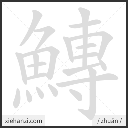 Ảnh động thứ tự nét chữ 鱄 - cách viết từng nét